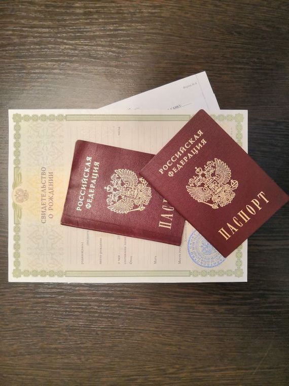 прописка в Павловске